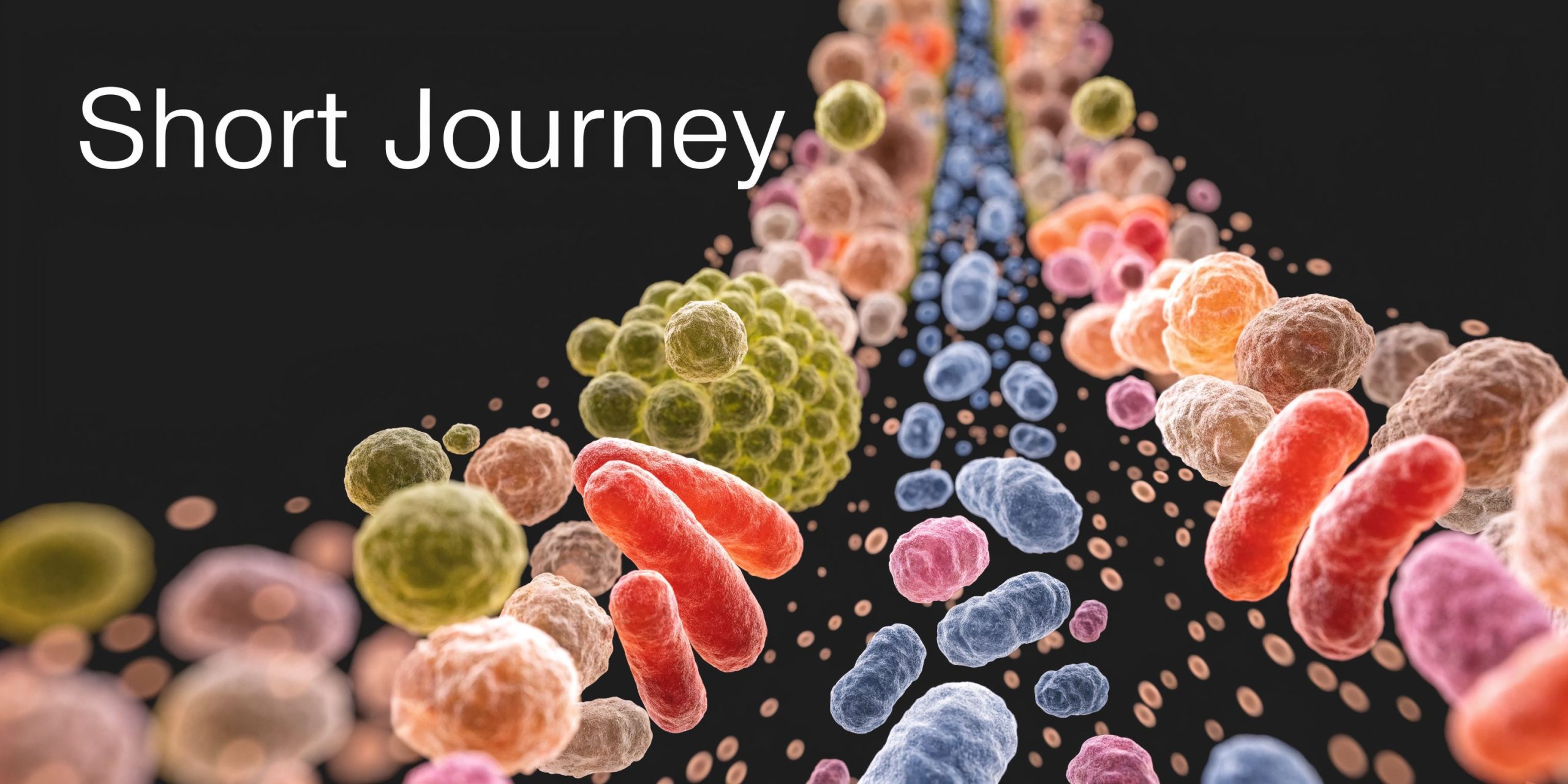 A 3D visualization depicting diverse microorganisms, bacteria, and cells flowing in a stream against a black background.