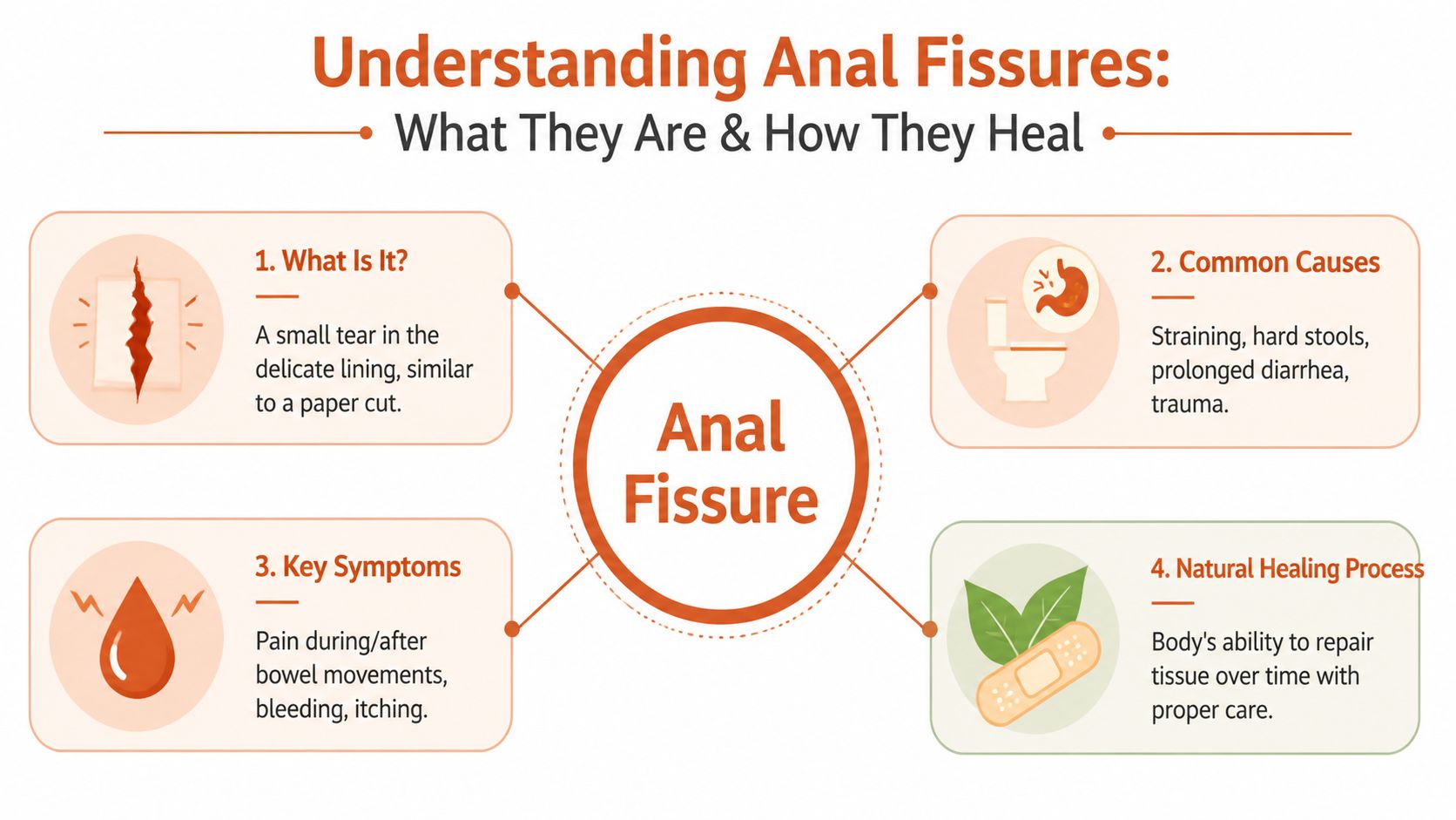 An infographic explaining what anal fissures are, their common causes, symptoms, and the natural healing process.