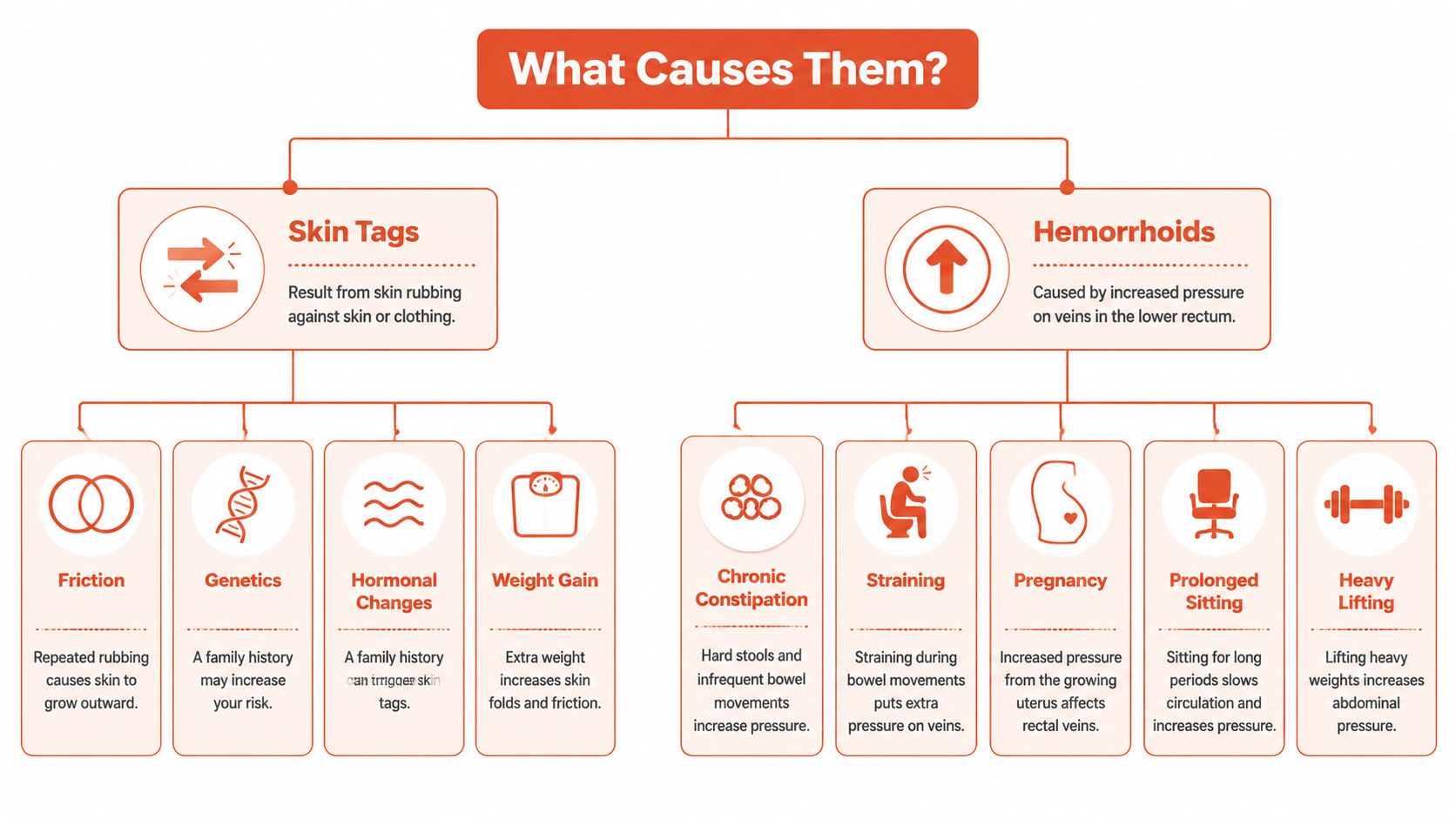 An educational infographic comparing the causes of skin tags and hemorrhoids with descriptive icons and text.